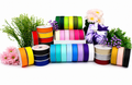 Cintas #9 Grosgrain