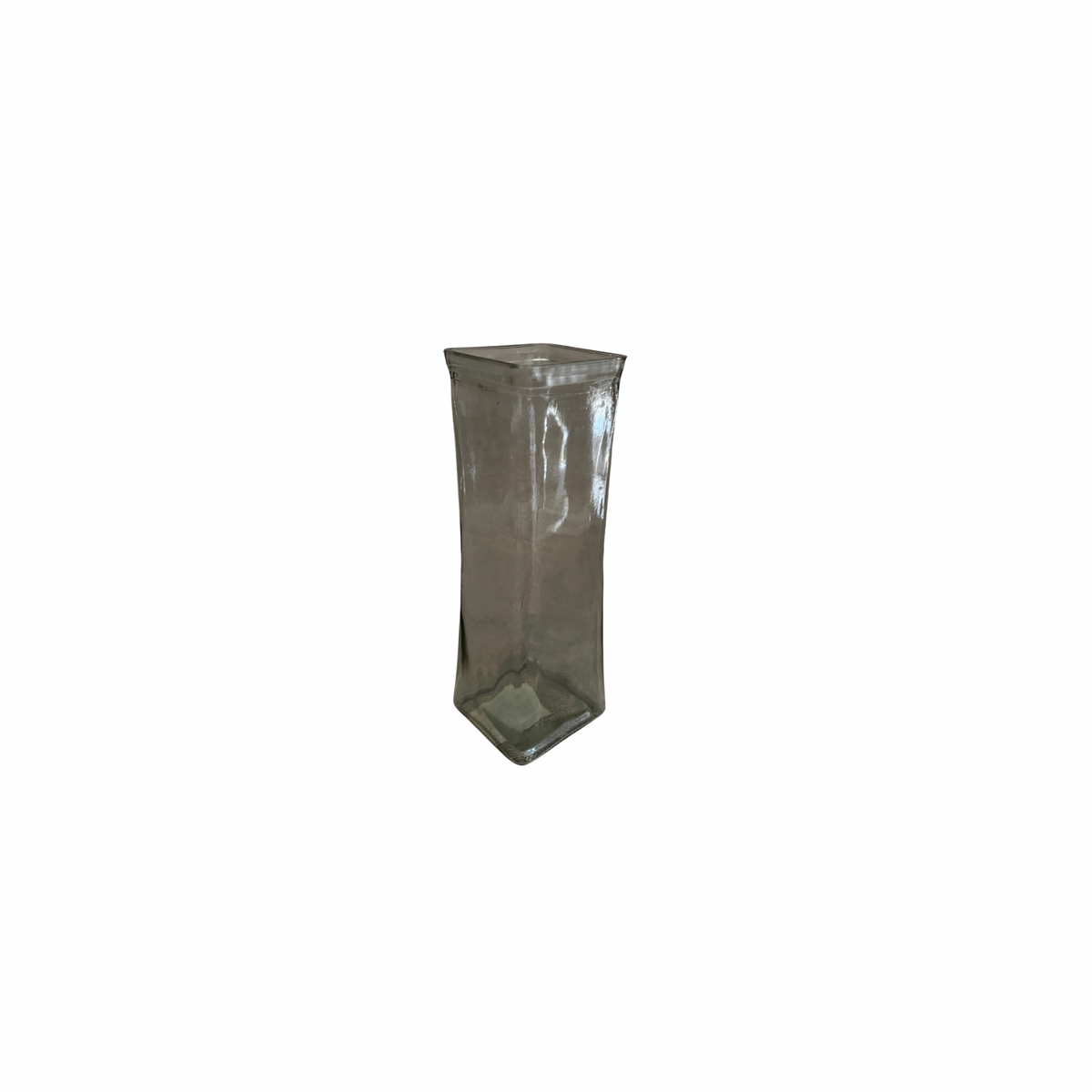 Budvase 6 rosas